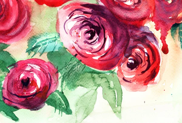 Belle rose fiori, pittura ad acquerello — Foto Stock