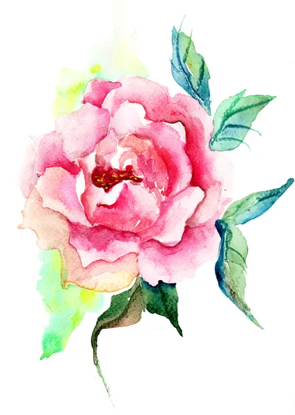 美丽的玫瑰鲜花、 水彩作品 — 图库照片