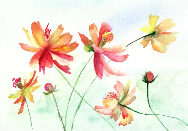Ilustração aquarela colorida com flores bonitas — Fotografia de Stock