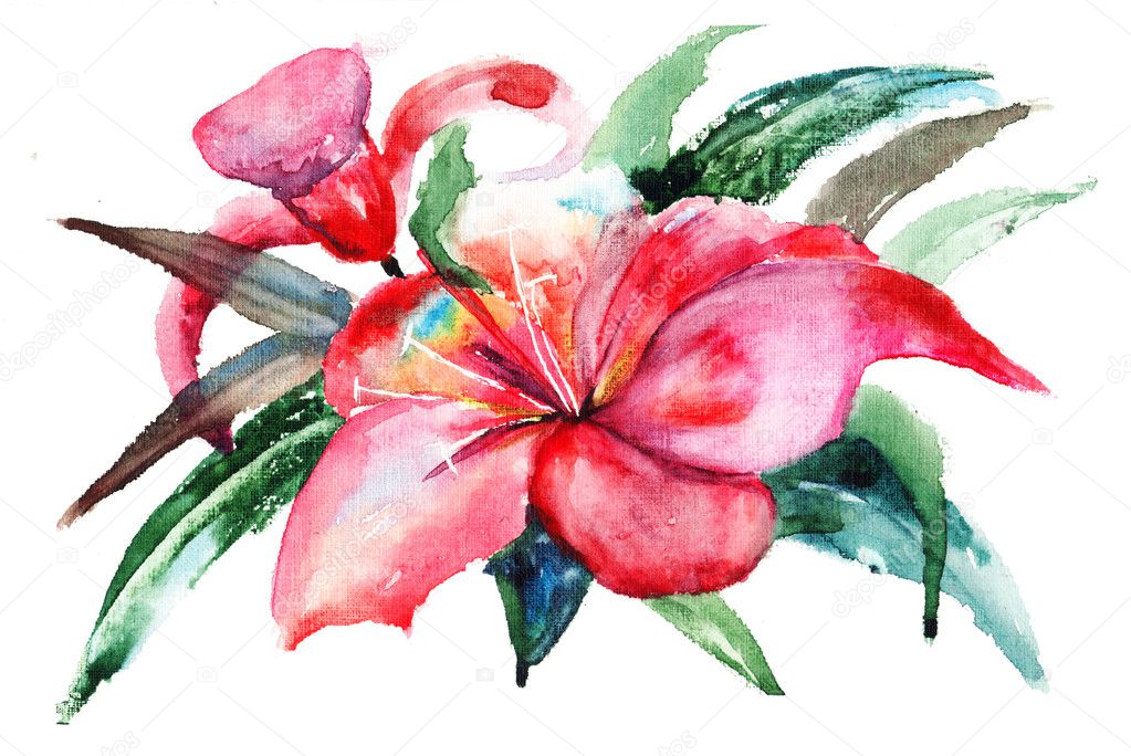 Lily flowers, watercolor illustration Stock Photo by ©Jershova 12377597