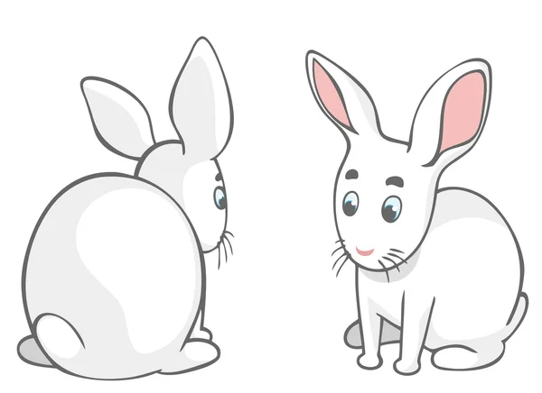 兔子 — 图库照片#