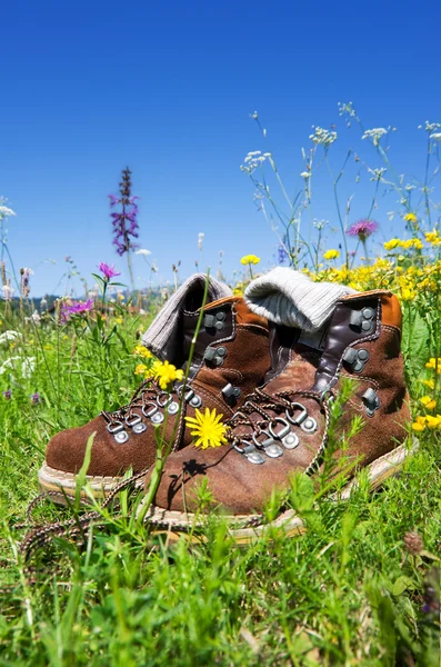 stock image Hiking boots meadow