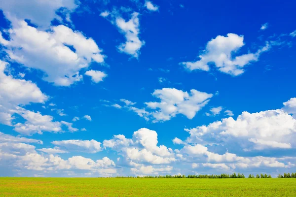 Blauwe hemel over de vlakte — Stockfoto