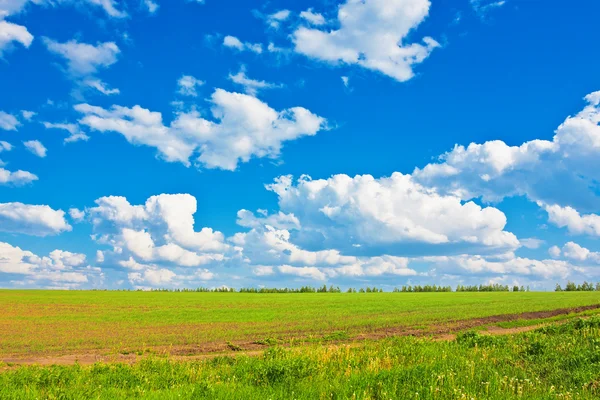 平野の上の青い空 — ストック写真