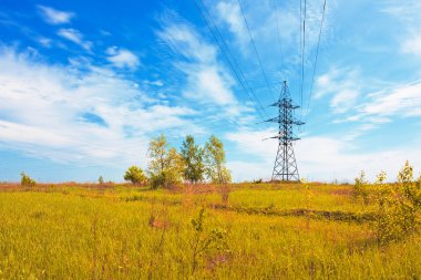 Powerlines over the meadow clipart