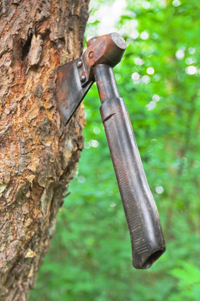 木の幹で古い手斧 — ストック写真