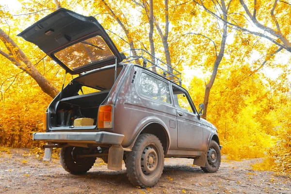 가 숲에서 오프 로드 차량 — 스톡 사진
