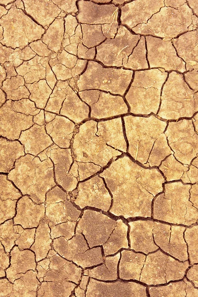 Ρωγμές σε ξηρό έδαφος — Φωτογραφία Αρχείου