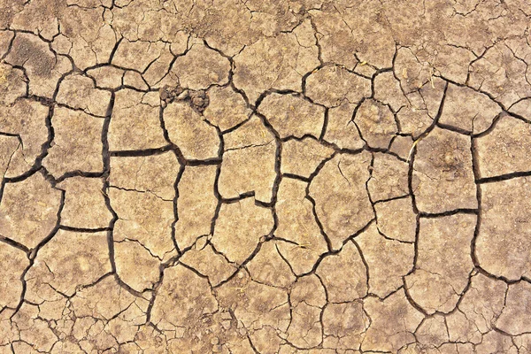 Grietas en tierra seca — Foto de Stock