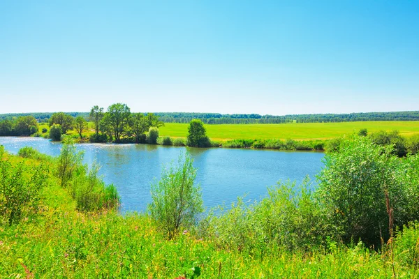 Letní krajina s rybníkem — Stock fotografie
