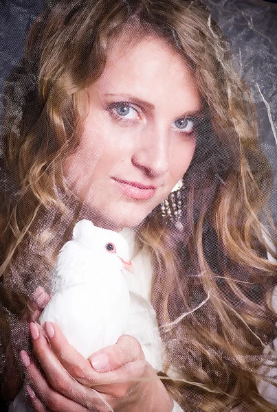 Krásná žena s bílou holubici na tmavém pozadí — Stock fotografie