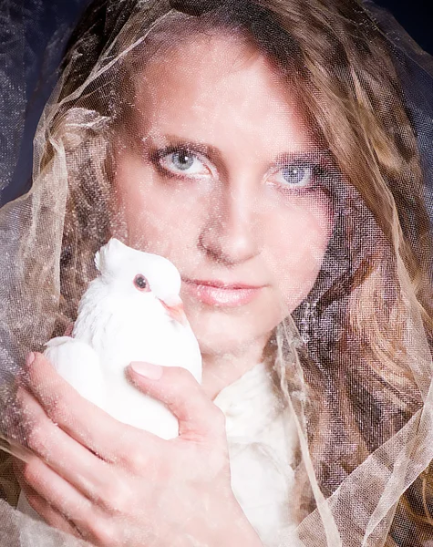 Mulher bonita com pomba branca no fundo escuro — Fotografia de Stock