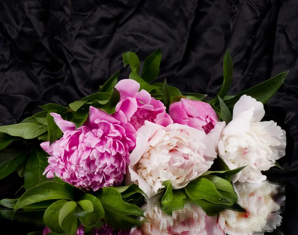 Krásná pi Mezon květiny — Stock fotografie