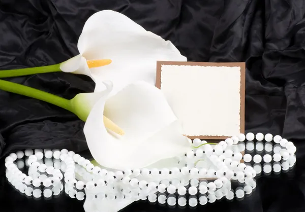 Schöne weiße Callas mit Banner hinzufügen — Stockfoto
