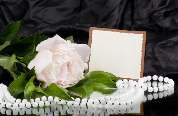 Flor de peônia com jóias — Fotografia de Stock