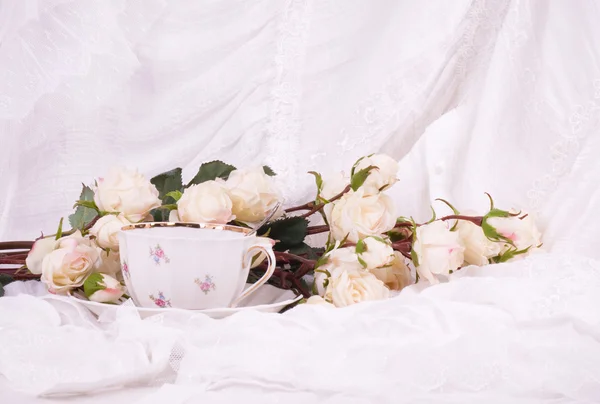 Conjunto de chá bonito com rosas brancas no fundo branco — Fotografia de Stock