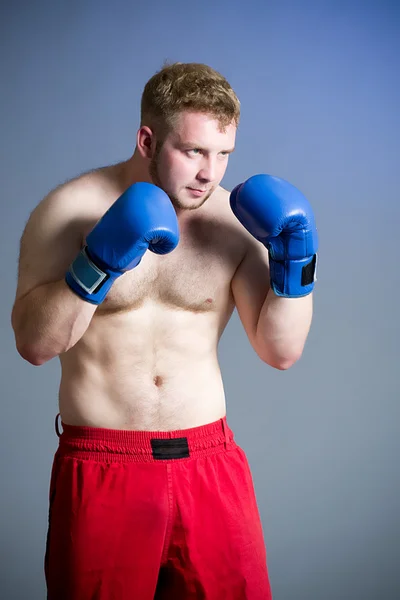 Portret van bokser op donkere achtergrond — Stockfoto
