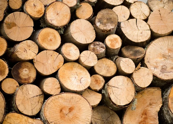 stock image Stacked firewoods. Natural Background