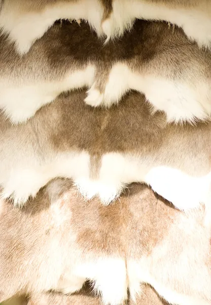 Животный мех, текстура фона — стоковое фото