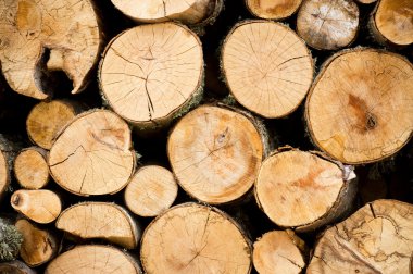 Stacked firewoods. Natural Background clipart