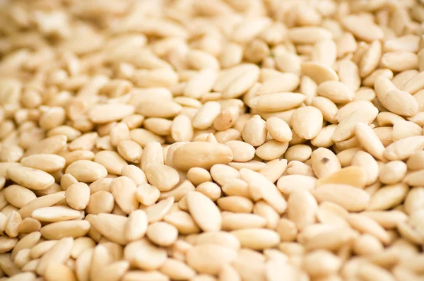 stock image Background of nuts