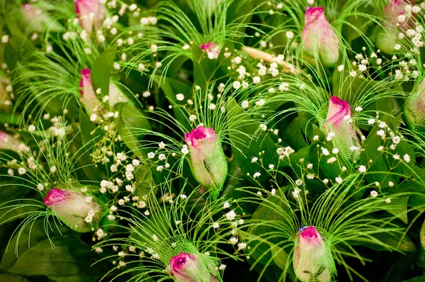 ดอกกุหลาบสีชมพูสวยงาม — ภาพถ่ายสต็อก