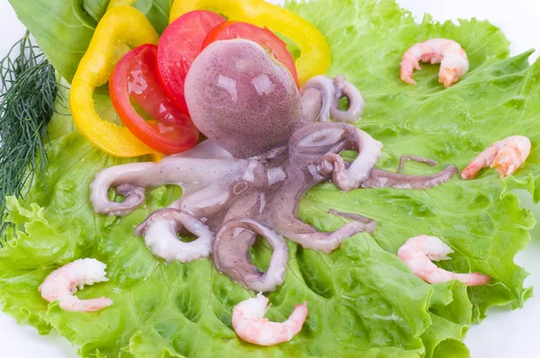Маленький осьминог с овощами и креветками — стоковое фото