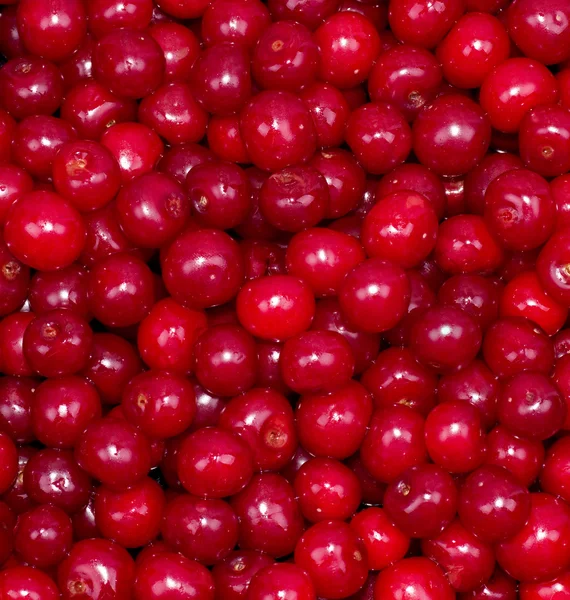 Close up of cherry — стоковое фото
