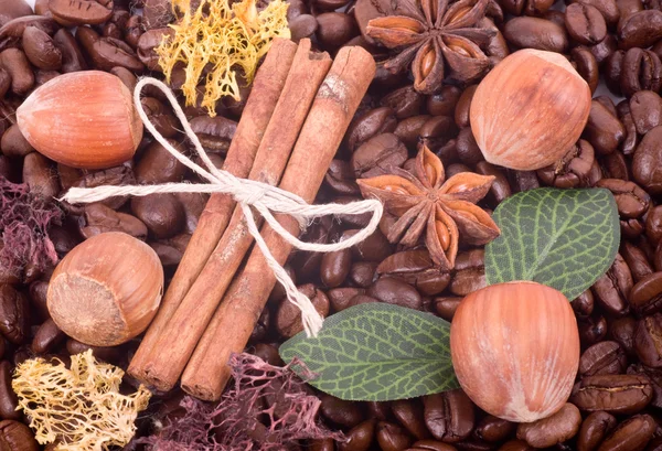 Kávová zrna, ořech a skořicovým pozadím — Stock fotografie