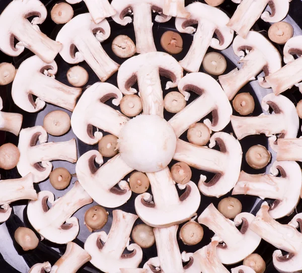 Cogumelos frescos champignon na placa — Fotografia de Stock