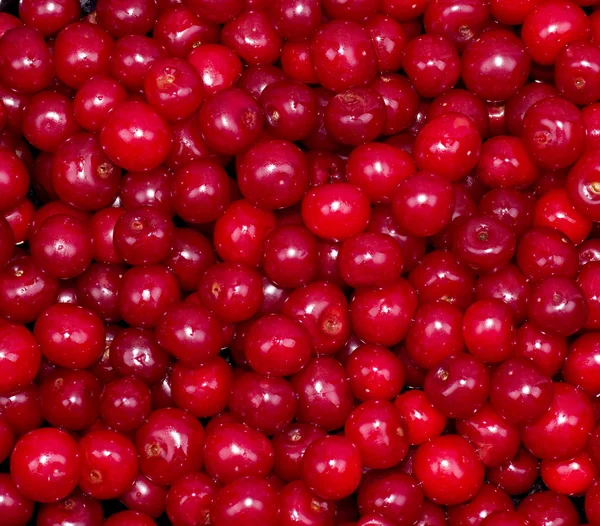 Close up of cherry — стоковое фото