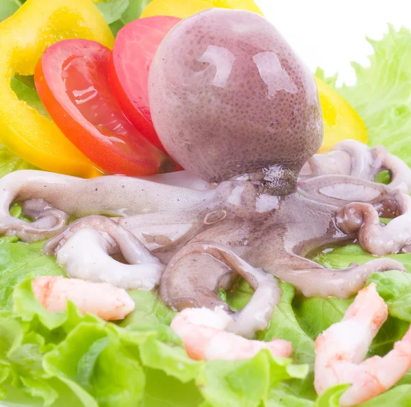 Kleiner Oktopus mit Gemüse und Garnelen — Stockfoto