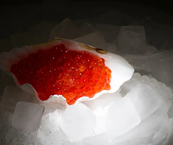 Ruwe smakelijke rode kaviaar in een shell in ijs — Stockfoto