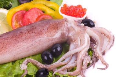 Raw squid with vegetables and red caviar on the white background clipart