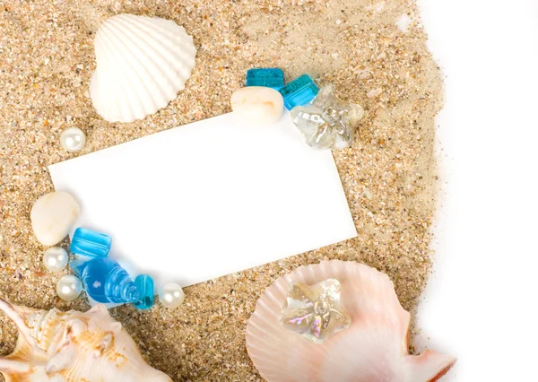 Красивый песочный фон с экзотической оболочкой — стоковое фото