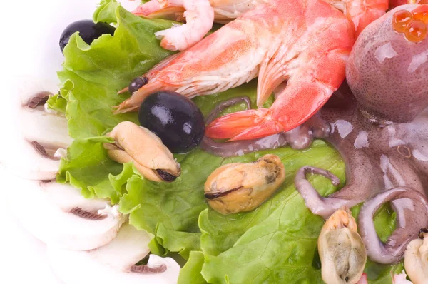 Raw cocktail of seafood on green salad with champignons — Stock Photo, Image