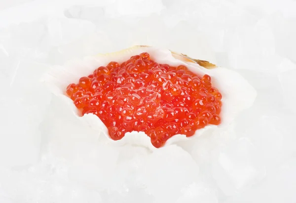 Caviar vermelho saboroso cru no gelo — Fotografia de Stock