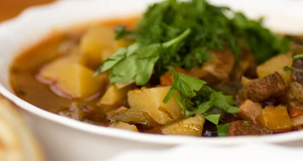 stock image Close up of soup lagman decorated with greens