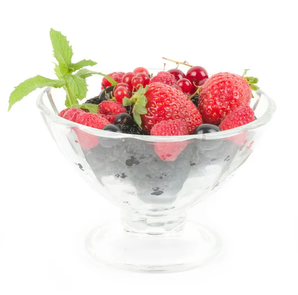 Dessert mit frischer Beerenmischung auf einem Teller vor dem Hintergrund — Stockfoto