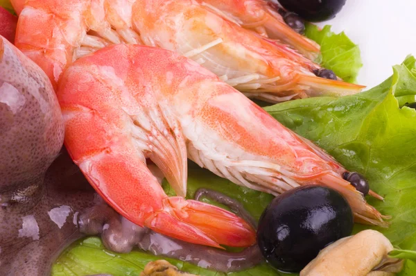 Cocktail cru de frutos do mar com verduras — Fotografia de Stock
