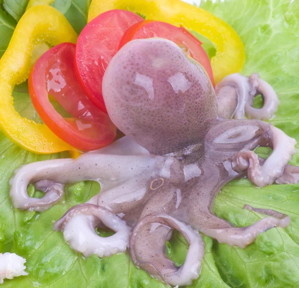Маленький осьминог с овощами — стоковое фото