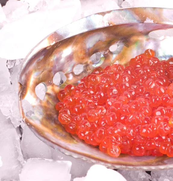 Caviar vermelho saboroso cru em uma concha no gelo — Fotografia de Stock