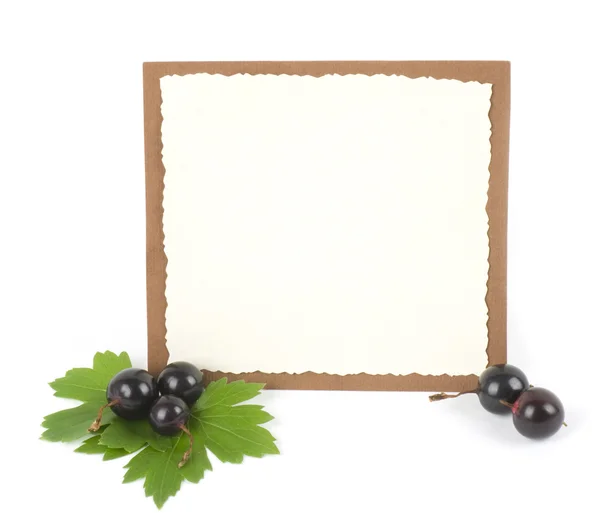 Nové blackberry s transparentem, na bílém pozadí — Stock fotografie