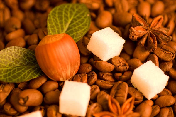 咖啡豆和榛子背景 — 图库照片