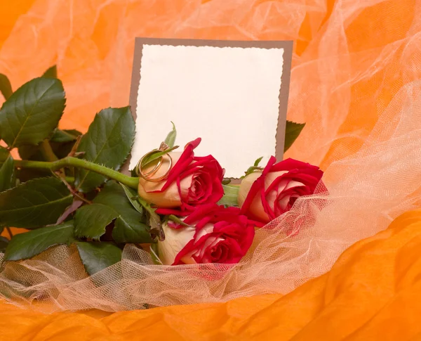 Güzel güller ile bayrak ekleme — Stok fotoğraf