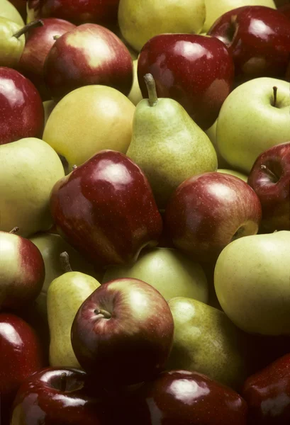 Смешанные яблоки и груши Бартлета — стоковое фото