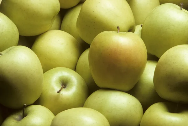Gylne deilige epler – stockfoto