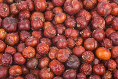 Dried red juniper (Juniperus oxycedrus) berries clipart