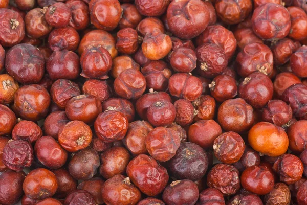 Dried red juniper (Juniperus oxycedrus) berries — Stock Photo, Image