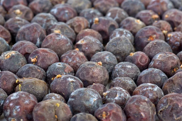 Herbs: Dried high juniper (Juniperus excelsq) berries — Stock Photo, Image